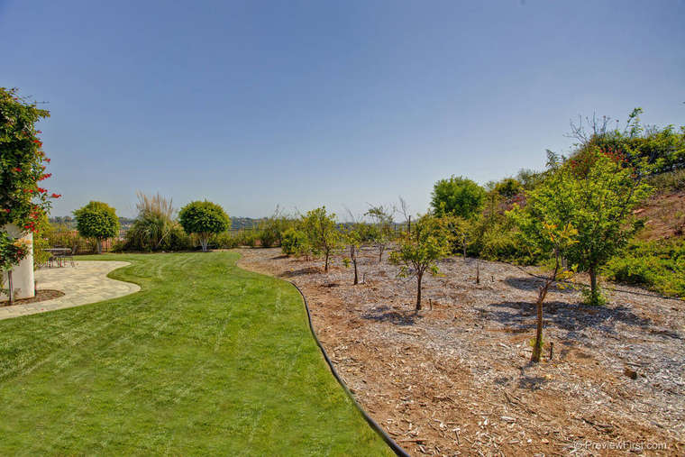 Luxurious Trophy Estate in Encinitas, California (14)