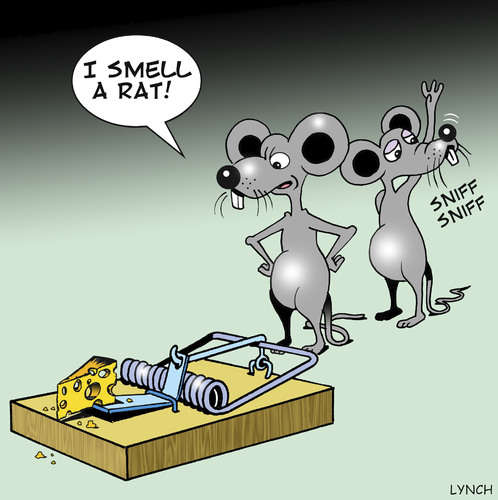 rat smell