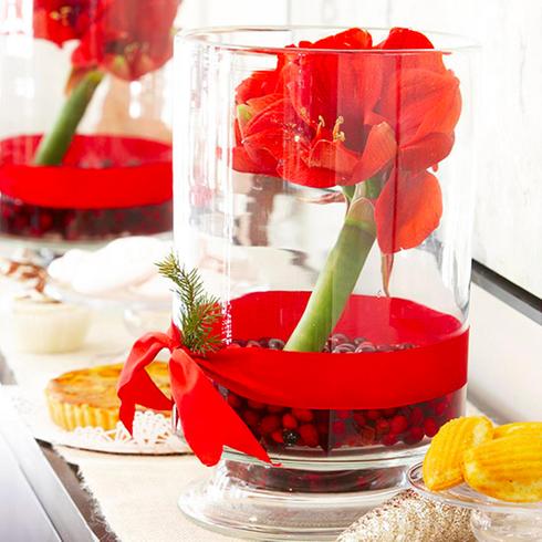 Centerpiece - cranberry and amaryllis vases