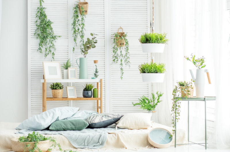 Incorporate Greenery