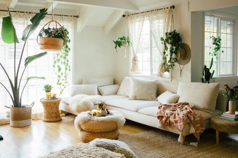 Bring plants indoors