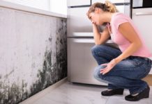 Sell House if It Has Mold