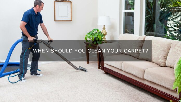 a expert carpet cleaner from eco clean solutions cleaning carpet