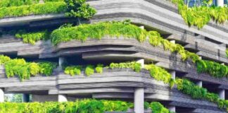 Sustainability in Building Design And Construction